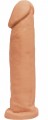Pênis Sem Escroto e Sem Vibro - Tamanho: 22cm